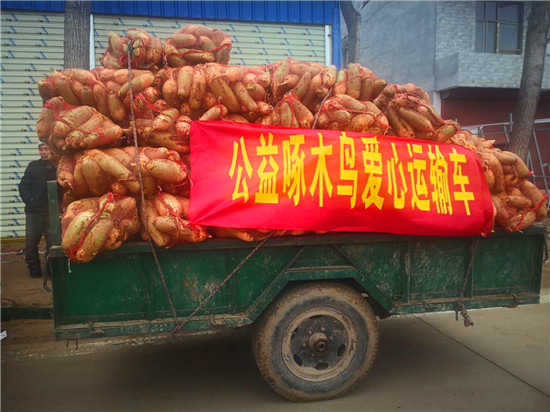 ＂愛(ài)心蘿卜＂來(lái)了！
