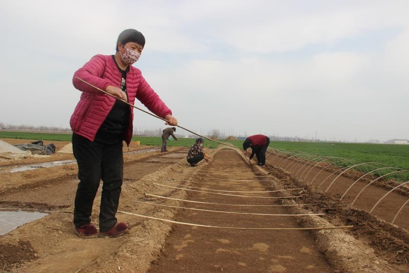 疫情防控、春耕生產(chǎn)兩手抓