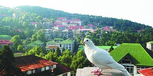  有著“云中山城”之稱的牯嶺鎮(zhèn)面臨著遷民下山。